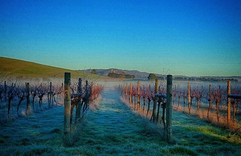 Eastern Peake Winery - Restaurant Guide 0