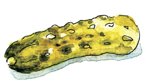 Gherkin Garden By Bethany Wines - Restaurant Guide 1