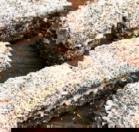 Infinity Bakery - Paddington - Restaurant Guide