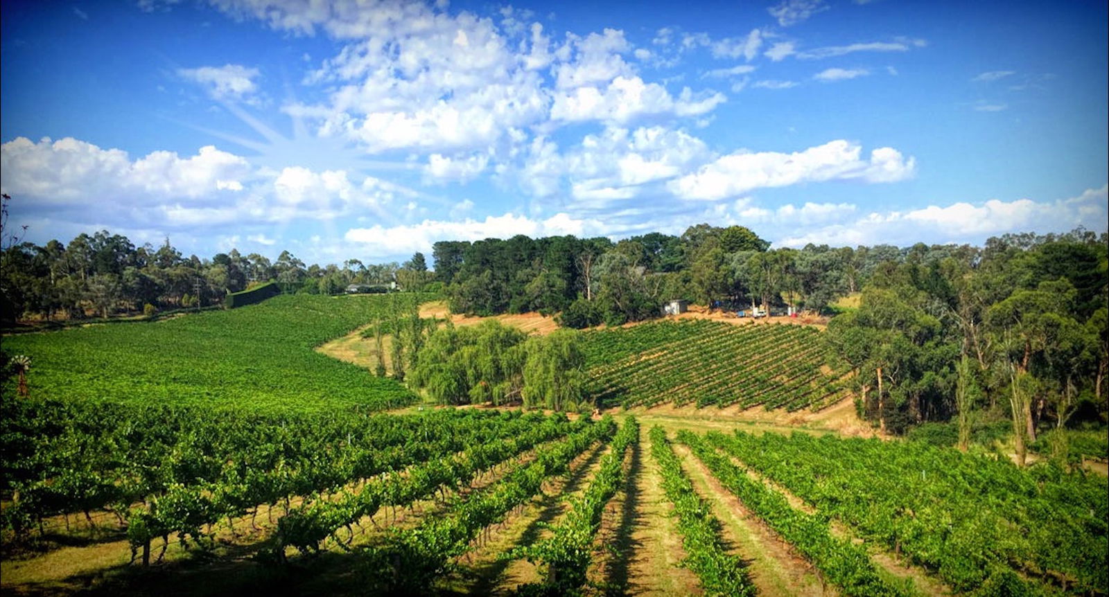 Kellybrook Winery and Kelly Brothers Cider Wonga Park