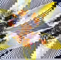 Food Business  Chapel Hill