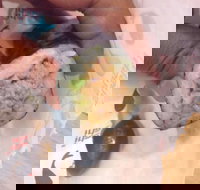 Quiksilver Bar 61 - Restaurant Guide