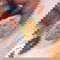 Torquay Takeaway and Torquay Restaurant Guide Restaurant Guide