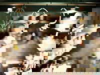 Bronte Takeaway and Bronte Restaurant Guide Restaurant Guide