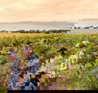 Boston Bay Wines - Restaurant Guide