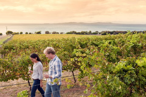 Boston Bay Wines - Restaurant Guide 0