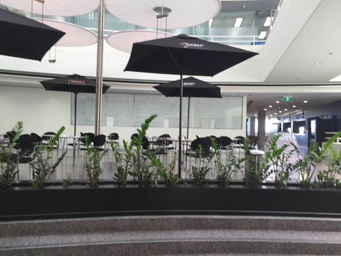 D Cafe - Restaurant Guide 0