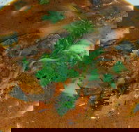 Four Figs - Restaurant Guide