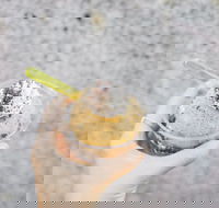 Spice Cottage - Restaurant Guide