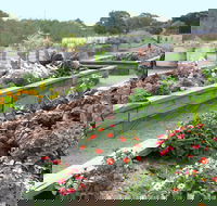 The Farmer's Place - Restaurant Guide