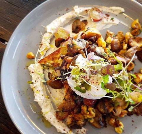 Nautilus - Restaurant Guide 32
