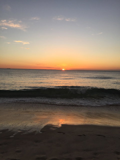 Ocean Spice Cafe - Restaurant Guide 1