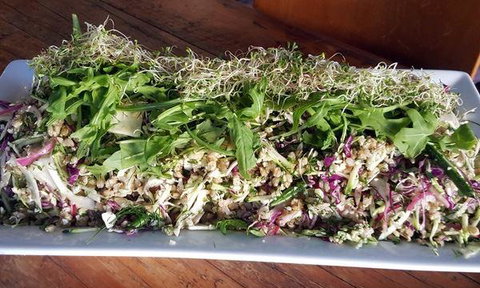 The Lithgow Tin Shed - Restaurant Guide 4