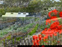 Deans Marsh Takeaway and Deans Marsh Restaurant Guide Restaurant Guide