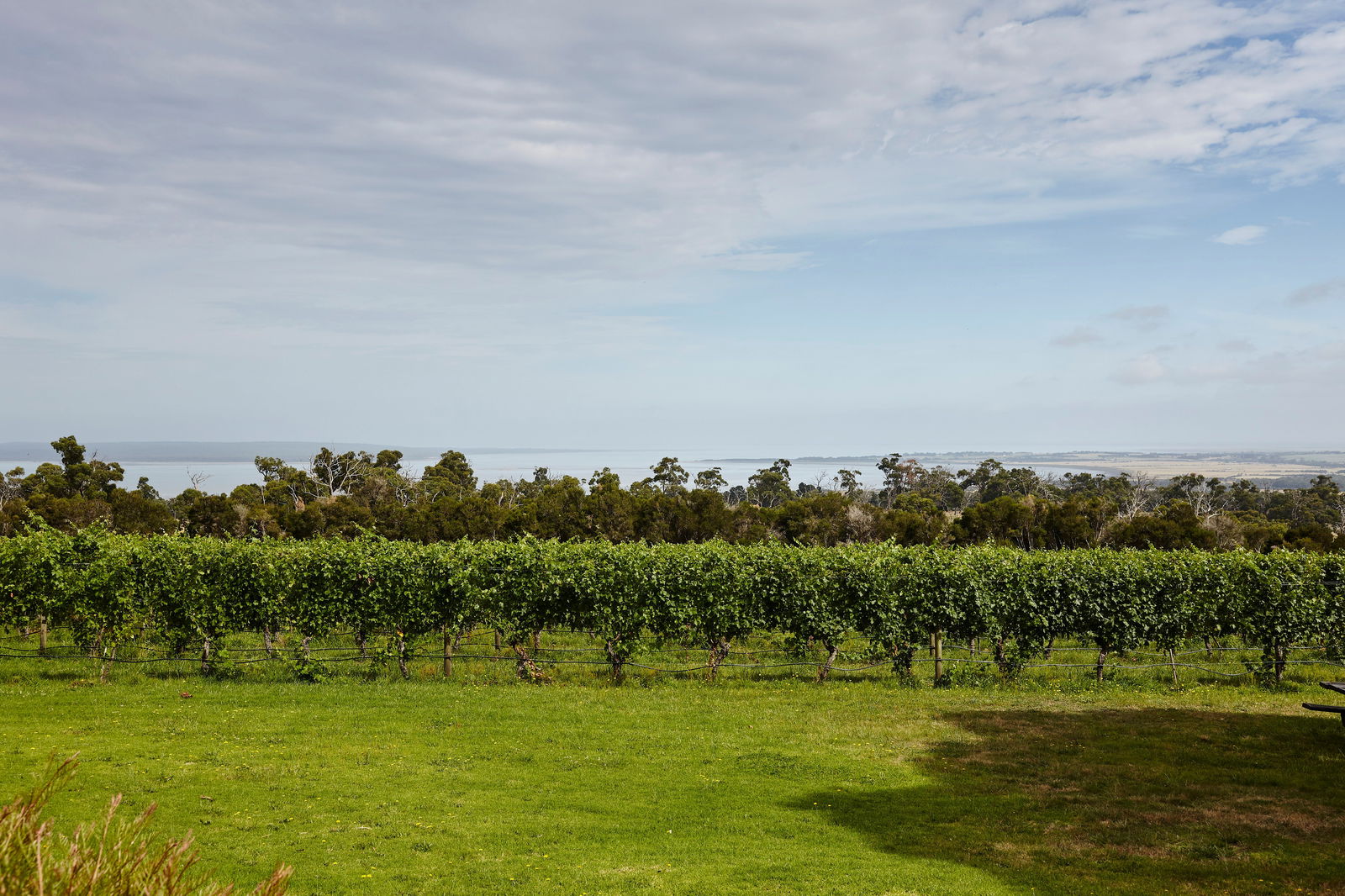 Adams Estate VIC Restaurant Guide