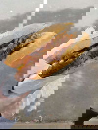 Douglas Hot Bread