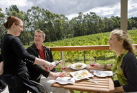 Lark Hill Biodynamic Winery