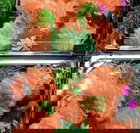 Sushi Izakaya Bar - Restaurant Guide