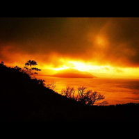 Fitzroy Island Takeaway and Fitzroy Island Restaurant Guide Restaurant Guide