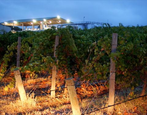 Haselgrove Wines - Restaurant Guide 0