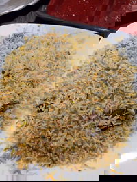 Man-O-Salwa - Clayton