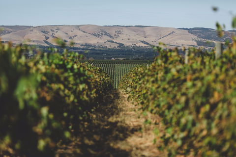 Mr. Riggs Wine Co. - Restaurant Guide 1