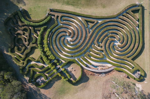 Bago Maze And Wine - Restaurant Guide 0