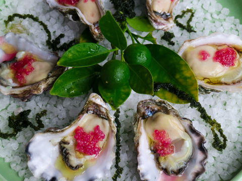Bella Char Restaurant + Wine Bar - Restaurant Guide 0