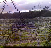 Darlington Vineyard - Restaurant Guide