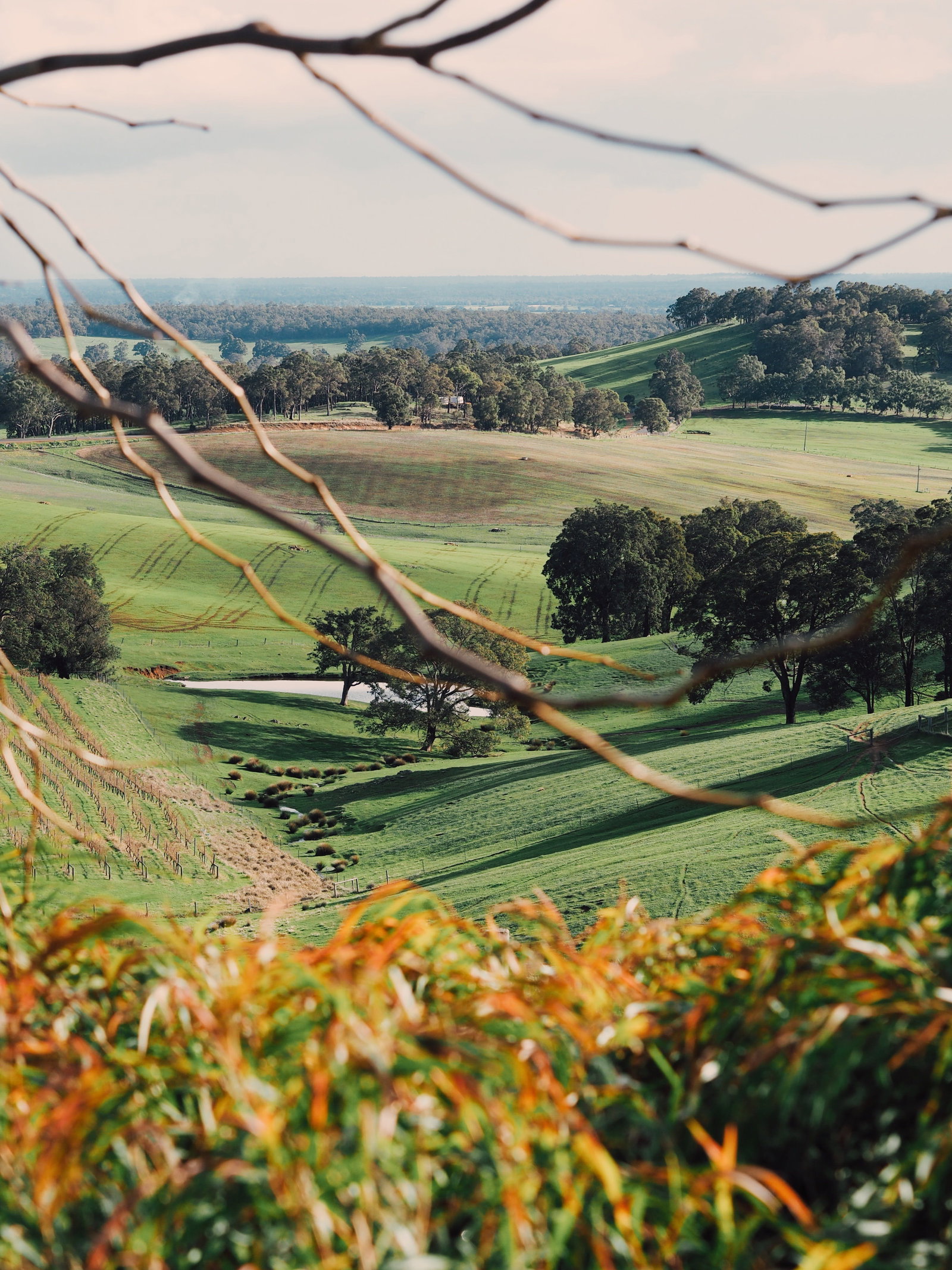 Henty WA Restaurant Guide