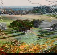 Green Door Winery Cellar Door - Restaurant Guide