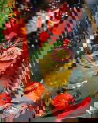 Old Joe's- Northies Cronulla Hotel