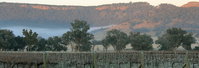 Wilksch Estate Wines