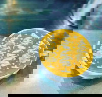 Fay's Cafe - Restaurant Guide