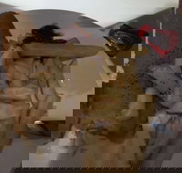 Roast  Toast - Restaurant Guide