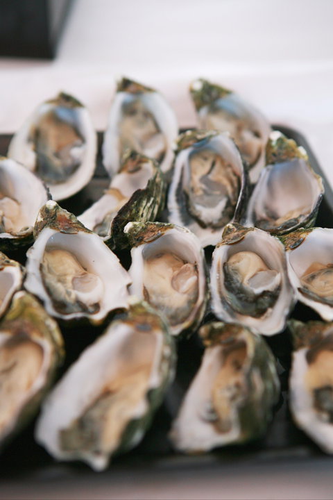 S.D. Caputo And Sons - Restaurant Guide 0