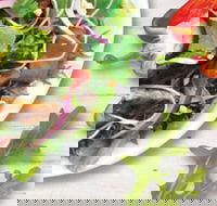 Sumo Salad - South Brisbane - Restaurant Guide