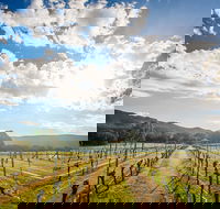 Fallen Giants Vineyard - Restaurant Guide