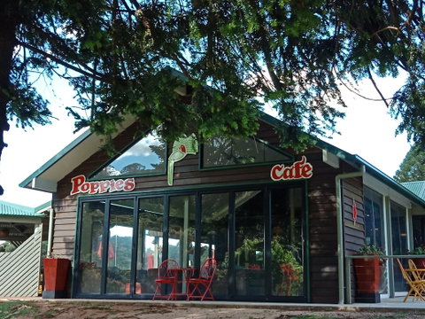 Poppies  Cafe - Restaurant Guide 0