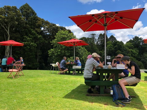 Poppies  Cafe - Restaurant Guide 1