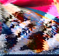 Donut King - Altona Meadows - Restaurant Guide