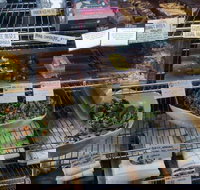 Haynes Street Larder - Restaurant Guide