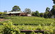 Djinta Djinta Winery - thumb 0