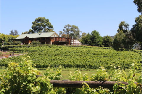Djinta Djinta Winery - Restaurant Guide 0