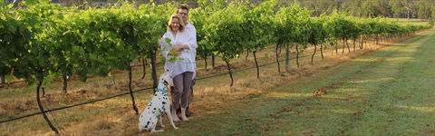 Greenway Wines - Restaurant Guide 1