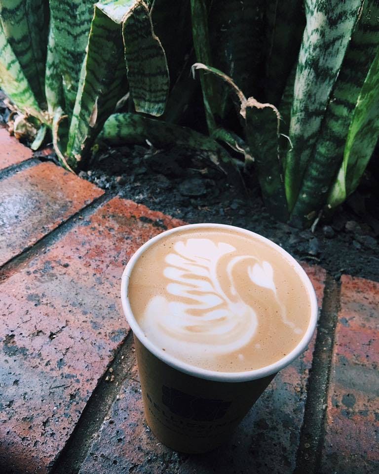 Milk  Froth - Clayfield Clayfield