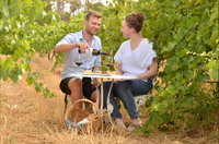 Winkie Takeaway and Winkie Restaurant Guide Restaurant Guide