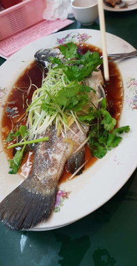 Hong Kong BBQ Restaurant