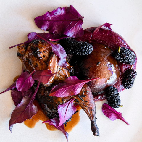 Osteria Il Coccia - Restaurant Guide 2