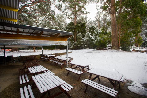 Waterfalls Cafe & Gallery - Restaurant Guide 0
